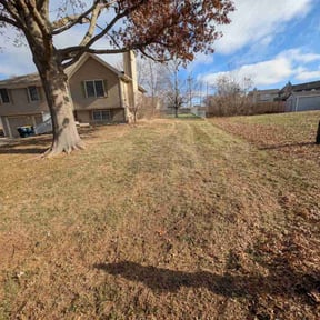 Leaf Removal by Lawn Lovers Landscaping reviewed on December 4, 2025