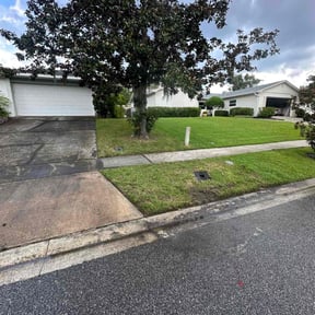 landscaping by Willie Lawn Care and More LLC reviewed on August 21, 2025