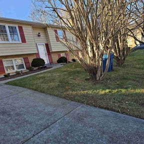 Leaf Removal by Capital Lawn Care reviewed on August 17, 2025