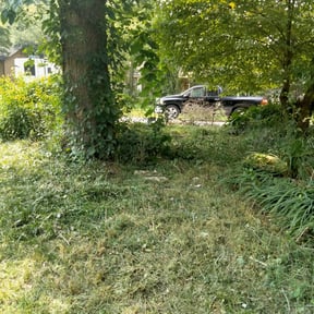 Bush Trimming by Eazy LLC reviewed on August 17, 2025