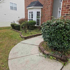Leaf Removal by Noble Services reviewed on April 23, 2026