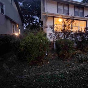 Flower Bed Weeding by Lagger Properties reviewed on November 10, 2025