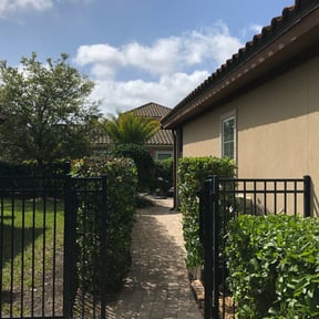 Bush Trimming by Jordan's legacy operations reviewed on August 19, 2025