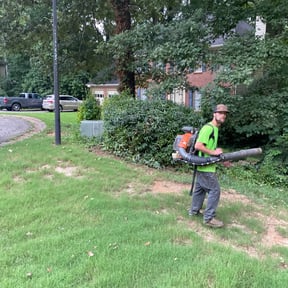 Bush Trimming by National Property Maintenance reviewed on August 18, 2025