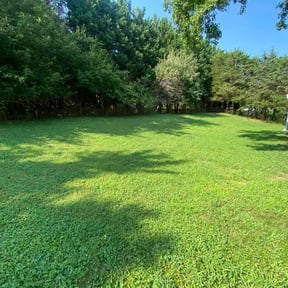 landscape maintenance by Mowerman reviewed on August 19, 2025