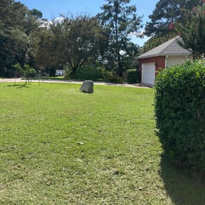 landscaping by Curry&#039;s Lawn Serviiyo yce dbunni ok reviewed on November 24, 2025