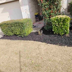 Mulching by Patriot Blades Lawn Co. reviewed on March 4, 2026