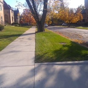 Leaf Removal by Ines lawnscaping reviewed on September 30, 2025