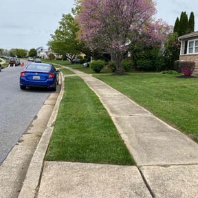 landscape maintenance by Active Property Care reviewed on August 20, 2025