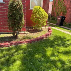 Bush Trimming by Loza Lawn & Home Services reviewed on August 16, 2025