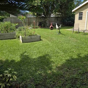 yard care by Kleen Kutz reviewed on August 21, 2025
