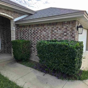 Bush Trimming by Performance lawncare reviewed on July 10, 2020