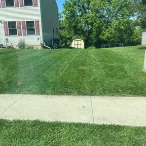 yard maintenance by Joesonthego reviewed on August 15, 2025