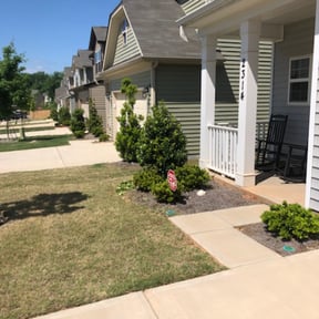 Bush Trimming by It's Done Landscaping and More, LLC reviewed on August 20, 2025