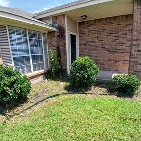 Bush Trimming by MoPro Lawn Care reviewed on July 2, 2026