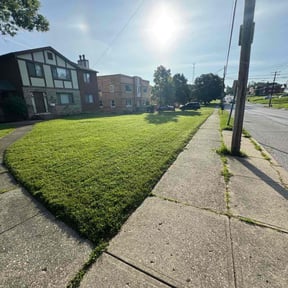 yard care by Sims Family Lawncare Service reviewed on August 15, 2025