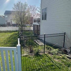 Leaf Removal by Lawn Don reviewed on September 8, 2025