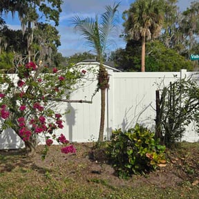 Bush Trimming by Jeff's Lawn service reviewed on December 23, 2025