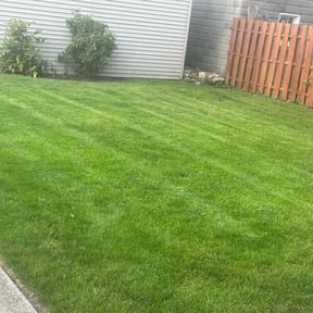 Flower Bed Weeding by Marlo'sLawnService && more reviewed on August 16, 2025
