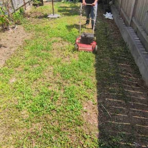 Bush Trimming by MVP Lawn & Landscaping reviewed on August 17, 2025