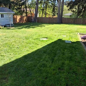 yard maintenance by Vertical Lawn Care reviewed on November 21, 2025