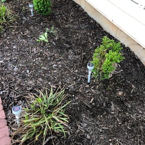Leaf Removal by After Care Express SVC reviewed on August 18, 2025