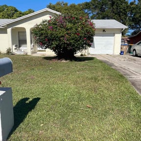 Bush Trimming by Re Image lawn care reviewed on September 2, 2021