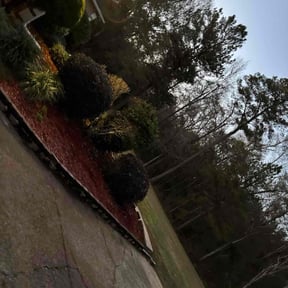 Bush Trimming by L &amp; L PRESSURE WASHING LLC reviewed on December 8, 2025
