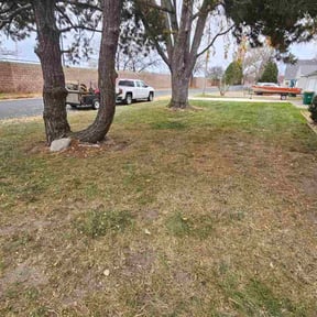 Leaf Removal by GMB Procare reviewed on July 24, 2026