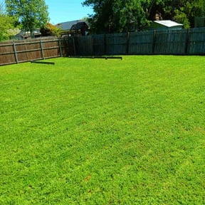 residential landscaping by Alarcon Landscape reviewed on August 15, 2025
