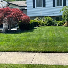yard maintenance by Greenworks Lawn reviewed on September 13, 2025
