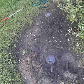 Flower Bed Weeding by Poetry In Motion, LLC reviewed on August 19, 2025
