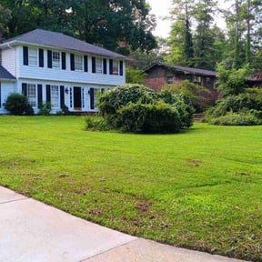 turf maintenance by Alvarado's Lawn Care reviewed on March 12, 2024