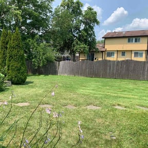 turf care by Denson's Total Lawn Care reviewed on January 18, 2024