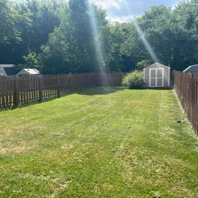 lawn maintenance by Frederickson Lawn Management reviewed on June 22, 2023
