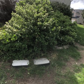 Bush Trimming by Eddy Lawn Care reviewed on November 23, 2025