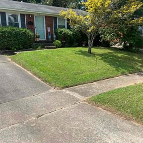 turf maintenance by Green landscape reviewed on April 14, 2024