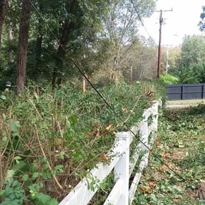 Bush Trimming by Rody &amp; Mel&#039;s Landscaping reviewed on August 19, 2025