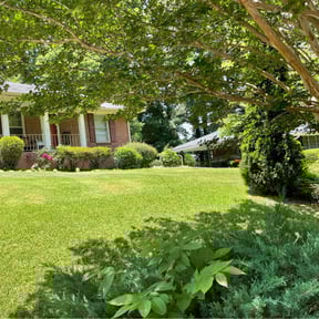 lawn service by Pristine Properties LHS reviewed on April 2, 2024