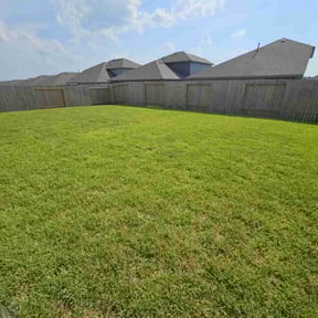 landscaping by Capitol Lawn Company reviewed on December 8, 2025