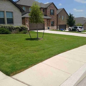 lawn maintenance by Carter Lawn Service reviewed on August 20, 2025