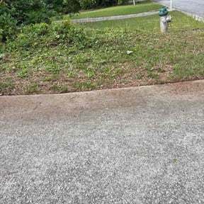 Bush Trimming by Leon's Lawns &amp; Home Improvements reviewed on May 3, 2026