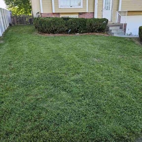 Bush Trimming by JohnRobert Lawn&Garden reviewed on August 15, 2025
