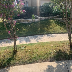 Bush Trimming by Dallas Enterprise LLC Lawn Care Services reviewed on August 20, 2025
