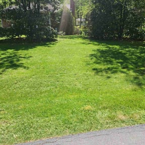 landscaping by Mellen’s Elite Services reviewed on August 20, 2025
