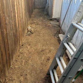 Flower Bed Weeding by JDAA  Lawn Care Service LLC reviewed on November 20, 2025