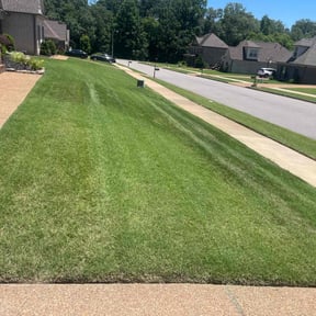landscape maintenance by JAM Property Maintenance reviewed on August 15, 2025