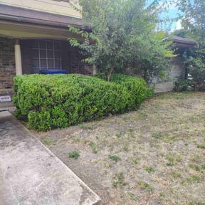 Bush Trimming by Regenesis Roundtable reviewed on November 7, 2025