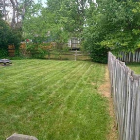 turf maintenance by Lesli's lawn care and snow removal llc reviewed on July 16, 2023