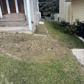 Flower Bed Weeding by Trash Cupid Rental reviewed on October 22, 2025